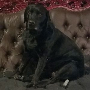 Meet your Posher, Melanie